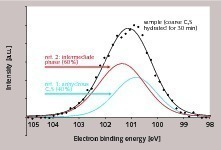 6 XPS analysis of a C3S sample after 30 min. hydration (individual data points, data fit and contribution of the references to the overall peak)