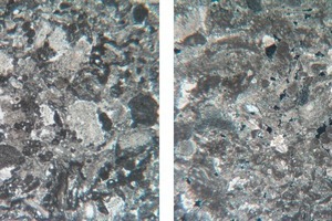 4 Microfabric of the limestone (image width 6.5 mm)