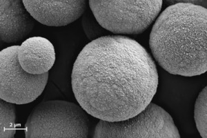 3 Vaterite seed crystals [21]