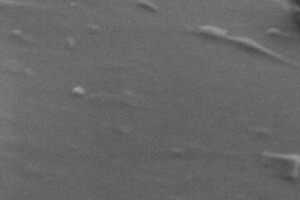 8 Electron micrograph of the C3S sample after 30 minutes hydration. Some very small C3S particles (diameter smaller than 25 nm) and a few hydrate phases are discernible. The actual C3S surface is relatively smooth and no clusters as assumed in Figs. 7B-7E are discernible (resolution of micrograph: 2 nm)