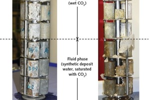 4 Appearance of the cement samples after 6 months storage in CO2 at 90 °C and a pressure of 400 bar