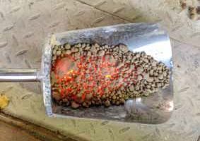 2 Sampling the Solidia Clinker