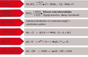 2 Reactions of polaric siloxanes