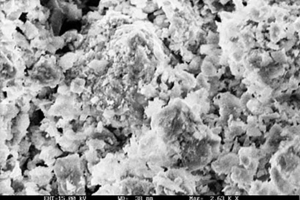 Fig. 1b SEM image of ultrafine brick particles (UBP)