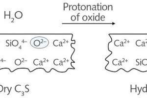 3 Reaction on the clinker surface (tricalcium silicate, C3S): water molecules (H2O) react with top surface layer oxide ions (O2-) to form hydroxide ions (OH-) [2]