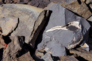 2 Sample of rock from a quarry in South Lower Saxony
