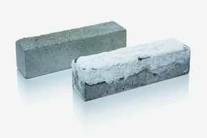 7 Efflorescence control with and without silicones