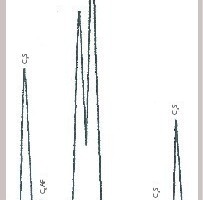2 XRD pattern (Cu-Kά) of cement clinker, showing the diffraction peaks (d = 2.959 and 2.874 A) taken for Xn Index (common cement notations are used)