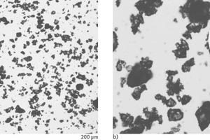 1 Images of microstructure of blank fresh cement paste at 5 min after mixing. a) 100×; b) 400×