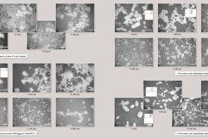 5 The solution and crystallization dynamic process of FGD gypsum with and without retarders