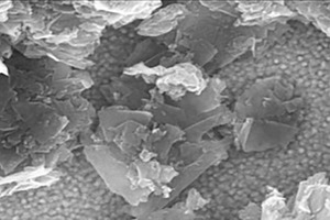 1 SEM image of nG