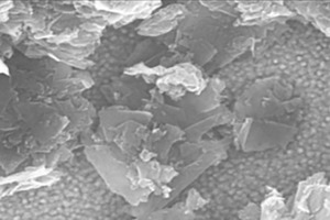 1 SEM image of nG