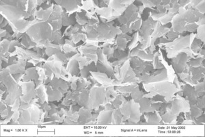 REM image of nanographite (EHT = 10 kV, WD = 5 mm, Signal A = InLens)