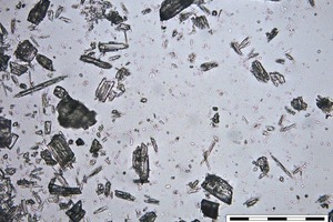 7 α-HH after 25 mins of hydration