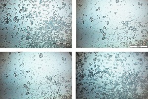 6 Results of in-situ optical microscopy of hydration of a-hemihydrate (2) [W/aHH-ratio: 0.8, Temperature: 23 C]