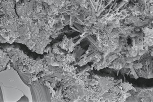 2 Electron microscopy photography of samples under study, magnification 10000x