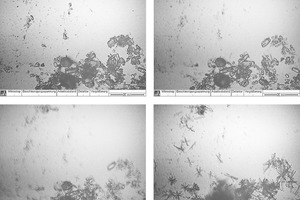 9 Results of in-situ optical microscopy on hydration of a-hemihydtrate (3) [W/aHH-ratio: 0.8, Temperature: 23 C]