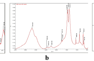 7 Infrared spectra of basalt fiber: a – initial fiber, b – after boiling in a 5 % solution of NaOH, c – after boiling in a saturated solution of lime