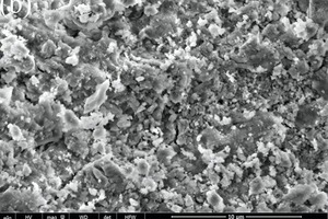 9 Scanning electron microscope (SEM) photographs of samples NS0, NS3 and NS5 hydrated for 28 days