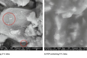 7 ESEM images of the FCPs with latex 5 min after mixing