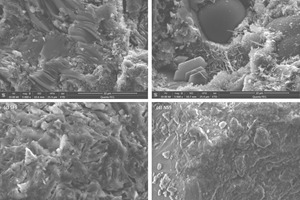 6 Scanning electron microscope (SEM) photographs of samples C, FA20, SF5, NS5 hydrated for 28 days
