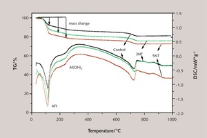11 DSC-TG curves of specimens after hydration for 8 hours