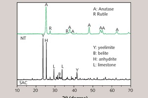1 X-ray diffractogram of SAC and NT