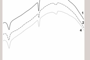 3 DSC curves for the samples on the 1st day of hardening (the compositions are numbered as in Table 1)