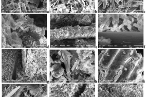 4 Microstructure of gypsum-cement-pozzolanic stone: a-c – without fibers; d, e – with polypropylene fiber; f – with polyacrylic fiber; g-k – with basalt fiber; l – with fiberglass. Curing time: 7 (a, d, f, g), 28 (b, h), 90 (i, j) and 365 (c, e, k, l) days