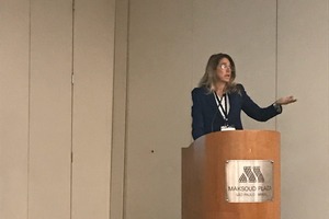 1 Maria José Garcia, Executive Director of FICEM