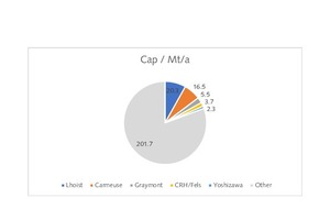 6 Market shares of major producers by capacity 2017