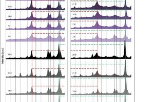 18 Radiographic analysis of a thin-bed mortar zero sample in comparison with a thin-bed mortar sample containing 10 vol.% fumed silica in a specimen mount at 2, 7, 14, 21 and 28 days, hydrated in a laboratory air atmosphere (left) and in CO2 exclusion (right)