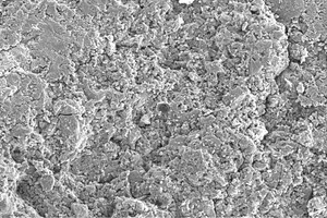 7 SEM image of the 28-day cured AASC2 paste