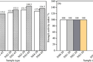 6 The strength activity index of mortars containing different quantities of NS for different curing modes