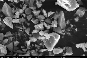 3 SEM images of PC and FA