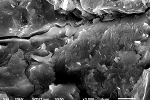 7 SEM micrographs of RS samples cured for 1 day