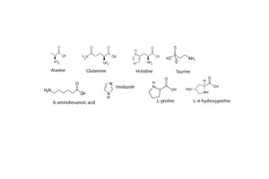 3 Amino acids and monomeric additives