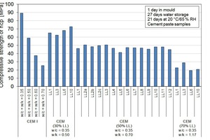 1 Compressive strength of the investigated hcp samples