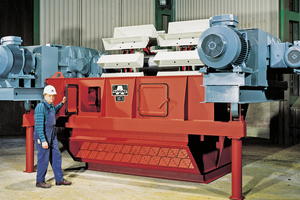 Aumund Bucket Elevator with Central Chain (type BWZ-D)