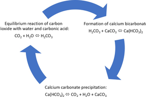 Carbonate loop, including formation of the desired calcium bicarbonate