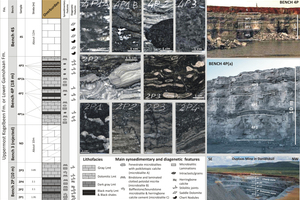 1 Example of the stratigraphic quarry log. The mine is split in four different benches. Each bench presents different rock types, i.e. lithofaces, showing characteristic petrographic features and technical properties, such as different slaking reactivity