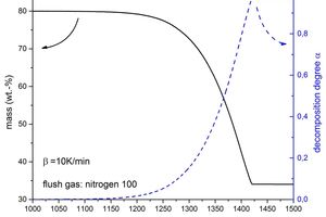 4 Comparison of the remaining mass and the degree of decomposition