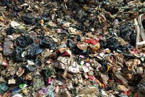 5 and 6 MSW before pre-processing – MSW after pre-processing (RDF)