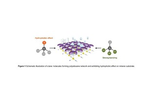 1 Schematic illustration of silane molecules forming a polysiloxane network and exhibiting hydrophobic effects on mineral substrate