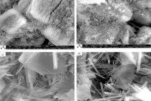 8 SEM images during the hydration of β-HH over different time periods as follows:a)	at 2 minutes, b)	at 7 minutes, c)	at 25 minutes and d)	at 50 minutes