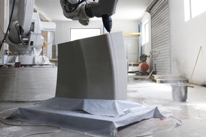 3 The printing of Striatus ...