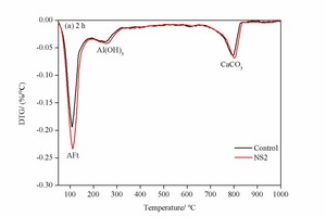 7 DTG analyses of the control sample and the NS2 sample at 2 h and 28 d