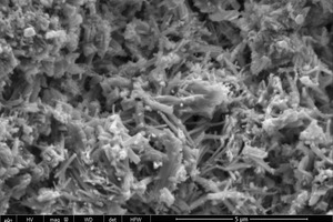 9 SEM images of the hydration products of the control sample and NS2 sample at 2 h and 28 d