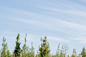 2 Beagle Systems drone in the sky