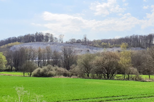 Gypsum quarry in the Southern Harz region